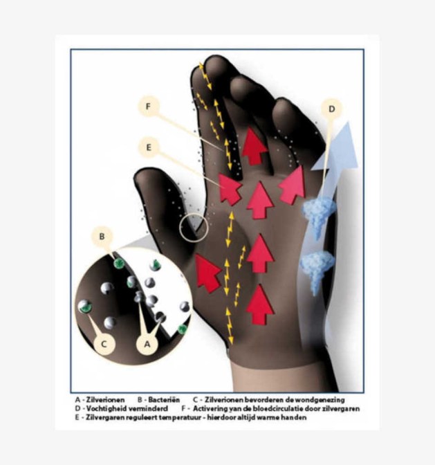 BestSilver Zilver handschoenen